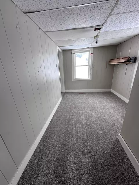 124 S Division Ave, Spring Grove, MN 55974 photo 4