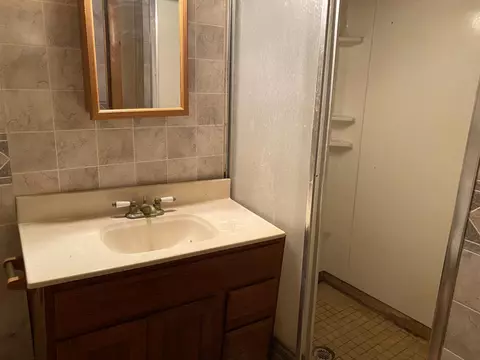 1435 Todd Ave, Albert Lea, MN 56007 photo 20
