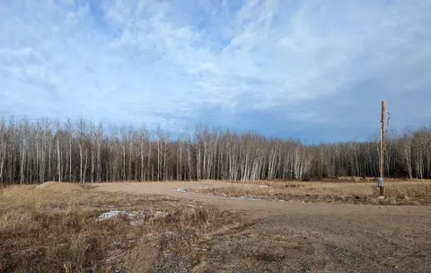 5298 County Road 8, Littlefork, MN 56653 photo 3