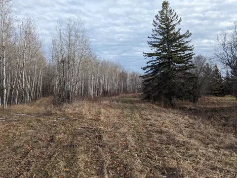 5298 County Road 8, Littlefork, MN 56653 photo 7