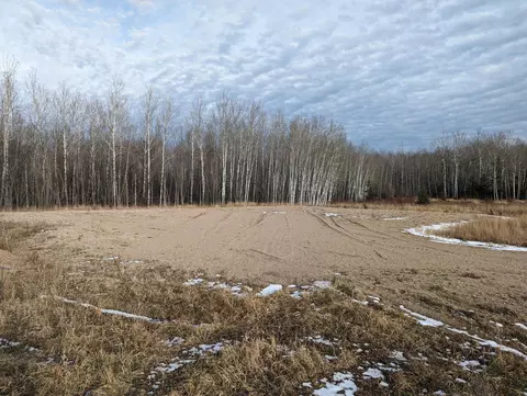 5298 County Road 8, Littlefork, MN 56653 photo 4