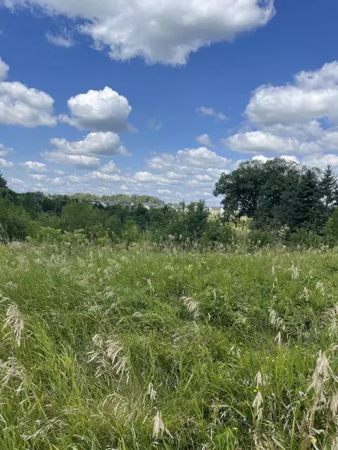 6475 Park Trail Rd, Corcoran, MN 55340