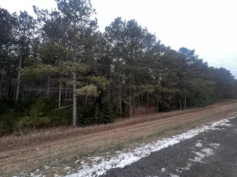 tbd County 119, Nevis, MN 56467