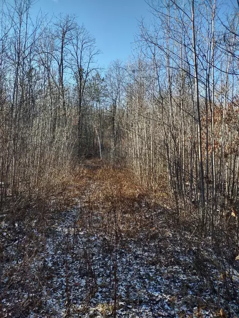Nnn Pretty Road, Springbrook, WI 54875 photo 13