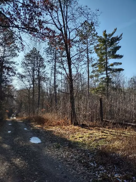 Nnn Pretty Road, Springbrook, WI 54875 photo 5