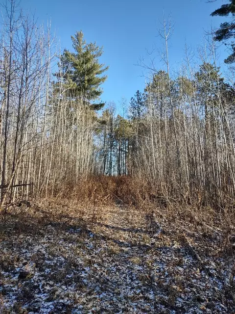 Nnn Pretty Road, Springbrook, WI 54875 photo 16