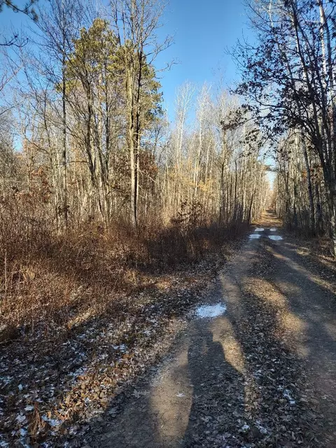Nnn Pretty Road, Springbrook, WI 54875 photo 20