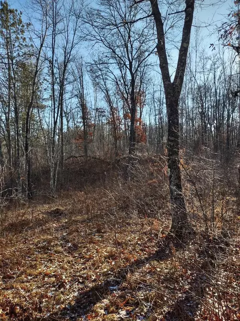 Nnn Pretty Road, Springbrook, WI 54875 photo 9