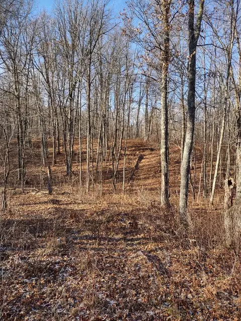 Nnn Pretty Road, Springbrook, WI 54875 photo 6