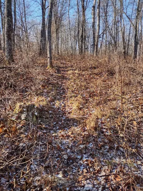 Nnn Pretty Road, Springbrook, WI 54875 photo 12