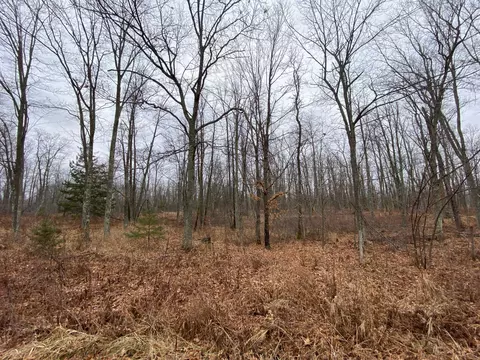 55695 Tamarack Pine Rd, Sandstone, MN 55072