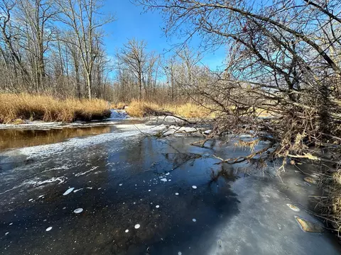 Nnnn Ironwood Street, Hillman Twp, MN 55051
