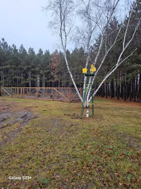 28215 County 37, Laporte, MN 56461 photo 14