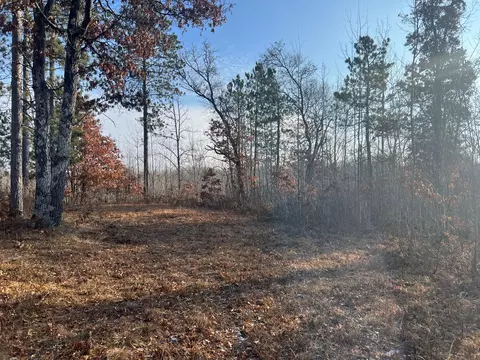 lot1 Brancel Rd, Chicog Twp, WI 54859