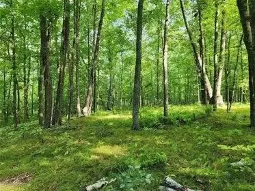 4025 Overland Dr, Jackson Twp, WI 54893