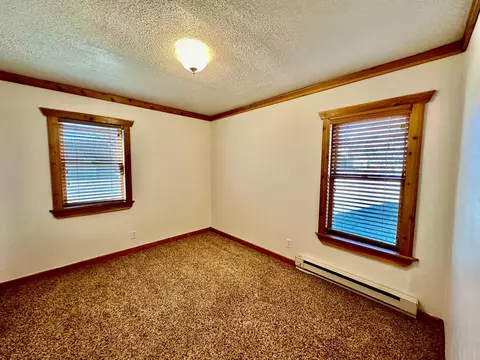231 2nd St E, Balaton, MN 56115 photo 4