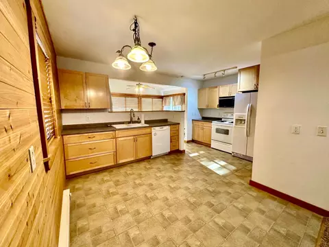 231 2nd St E, Balaton, MN 56115 photo 2