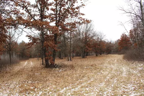 tbd Timberlane Rd, Staples, MN 56479 photo 6