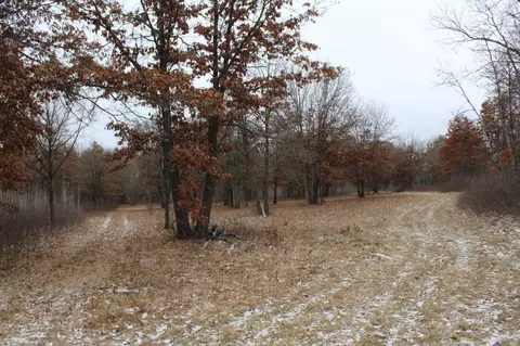 tbd Timberlane Rd, Staples, MN 56479 photo 7