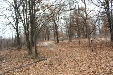 tbd Timberlane Rd, Staples, MN 56479 photo 4