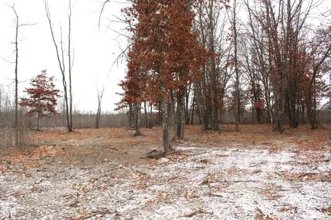 tbd Timberlane Rd, Staples, MN 56479 photo 3