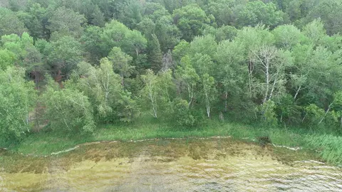 Xxs E Horseshoe Lake Road, Merrifield, MN 56465