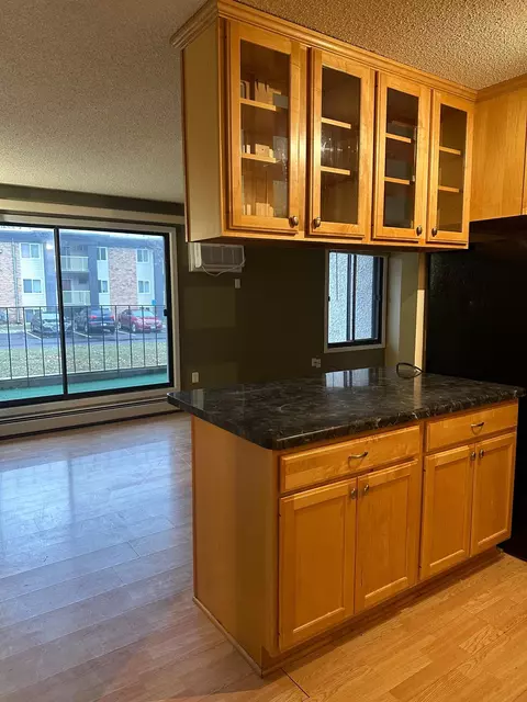 4110 Rahn Rd #111, Eagan, MN 55122
