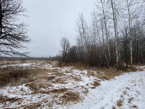 Nnnn Loon Avenue, Mcgregor, MN 55760