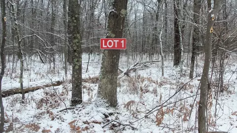 lot1 Blackberry Rd, Chicog Twp, WI 54888