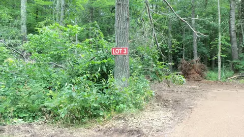 lot3 Blackberry Rd, Trego, WI 54888
