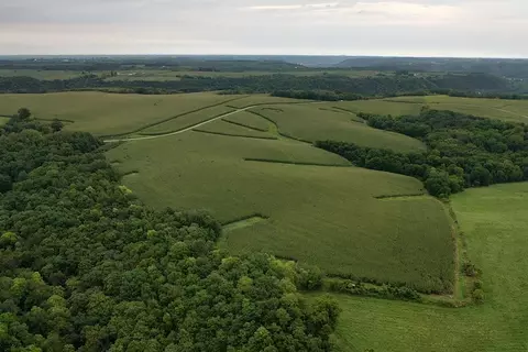 Tbd Dairy Lane, Arendahl Twp, MN 55962