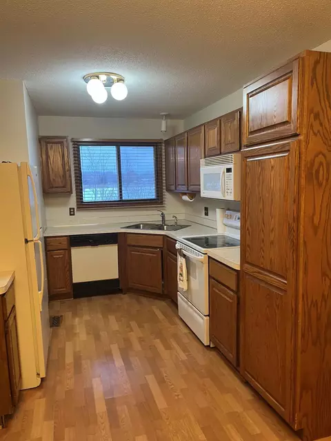 8511 S Pond Trl, Champlin, MN 55316 photo 4