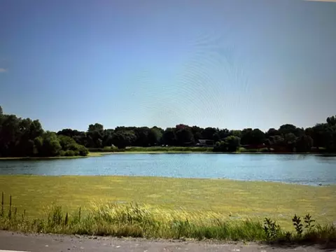 8511 S Pond Trl, Champlin, MN 55316 photo 3
