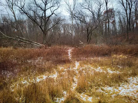 n23738 Amoth Lane, Ettrick, WI 54627 photo 30