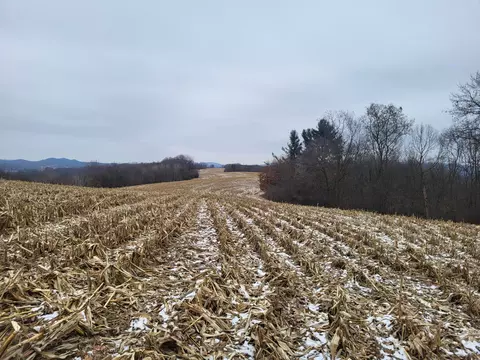 n23738 Amoth Lane, Ettrick, WI 54627 photo 28