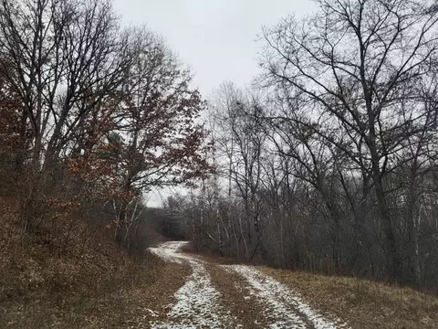 n23738 Amoth Lane, Ettrick, WI 54627 photo 27