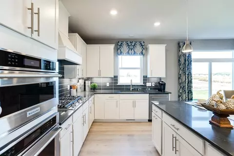 13144 Arbor Path, Rosemount, MN 55068 photo 3
