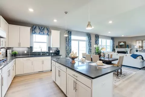 13144 Arbor Path, Rosemount, MN 55068 photo 6