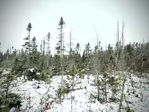 tbd E Four Corners Rd, Cromwell, MN 55726 photo 6