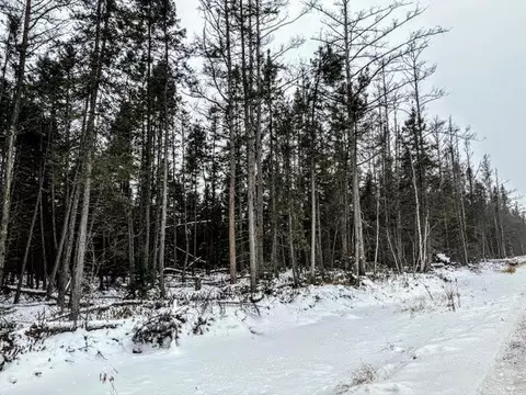 tbd E Four Corners Rd, Cromwell, MN 55726 photo 5