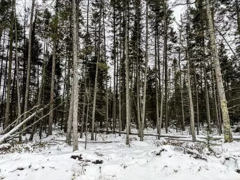 tbd E Four Corners Rd, Cromwell, MN 55726 photo 4