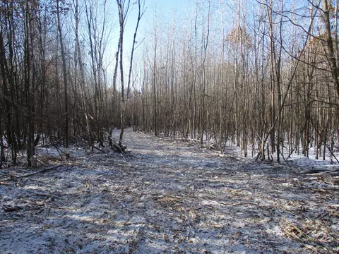 Nnn County Highway H, Rusk Twp, WI 54801