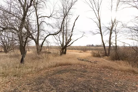 13645 County Rd 2, Osakis, MN 56360 photo 11