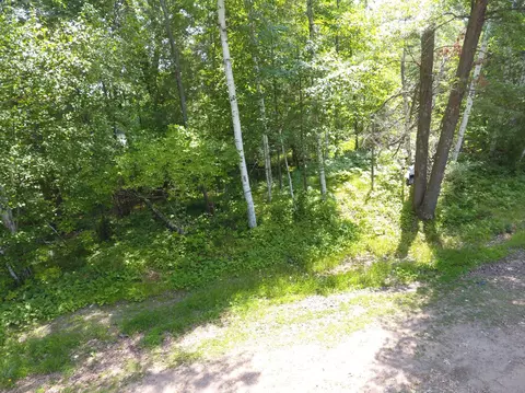 lot2 2nd St, Beaver Twp, WI 54889