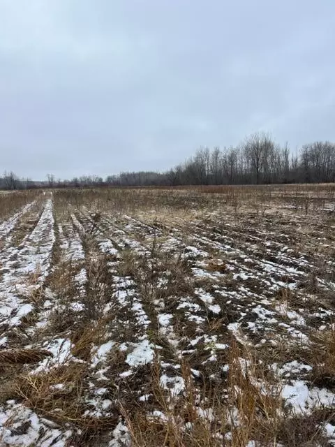 000 65th St Block 1 #LOT 2, Princeton Twp, MN 55371