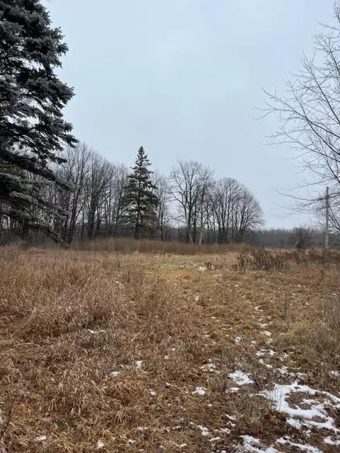 000 110th Ave Block 1 #LOT 4, Princeton Twp, MN 55371