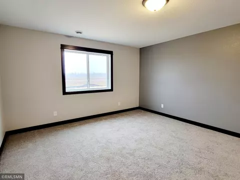 2113 Nelson St, Saint Peter, MN 56082 photo 22