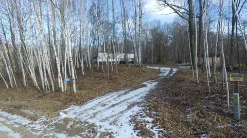 7988 Valley Rd SW, Meadowbrook Twp, MN 56466