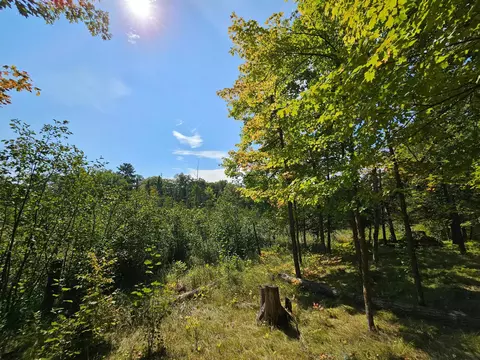 32650 Peony Ave, Farm Island Twp, MN 56431