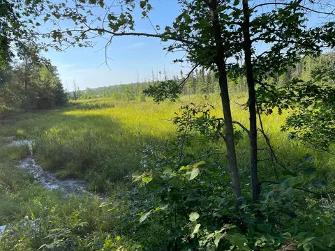 5810 Oregon Trl, Roosevelt Twp, MN 56450 photo 20